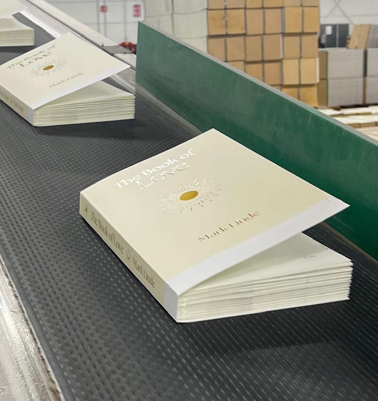 VERSCHIJNT 29 SEPTEMBER - The Book of Love - Mark Linde - Nú al te bestellen!