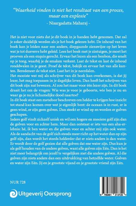 Je bent nooit geboren en je gaat nooit dood - Ries IJsseldijk