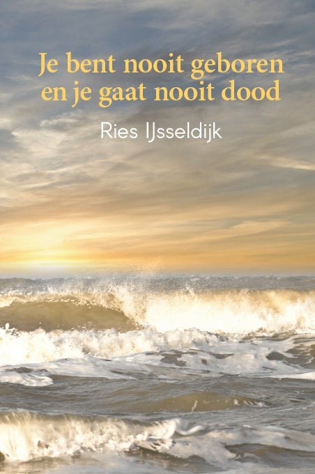 Je bent nooit geboren en je gaat nooit dood - Ries IJsseldijk